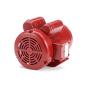 Leeson Farm Duty Electric Motor - 2 HP, 1,725 RPM, 230 Volts, Single Phase, Model Number M6K17FB4