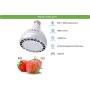 LC LED 250W-350W PAR30 / PAR38 High Output Medium Bay LED Bulb, 42W 5000 Lumens, Daylight White (6500K), Metal Halide, CFL & Halogen PAR Replacement, Non-Dimmable