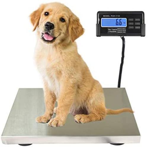 SurmountWay 440lbs Digital Livestock Scale Large Pet Vet Scale Stainless Steel Platform Electronic Postal Shipping Scale Industrial Floor Scale Heavy Duty Large Dog Hog Sheep Goat Pig Sheep Scale