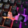 DIERYA DK61E 60% Mechanical Gaming Keyboard, RGB Backlit Wired PBT Keycap Waterproof Type-C Mini Compact 61 Keys Computer Keyboard with Full Keys Programmable (Gateron Optical Sliver Switch)