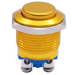 Twidec / 16mm Waterproof Golden Metal Shell Momentary Raised Top Push Button Switch 3A/12~250V SPST 1NO Start Button for car Modification Switch（Quality Assurance for 1 Years） M-16-GLD-G