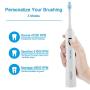 HSYTEK Whitening Electric Toothbrush Dual Handles, H21 TouchDo Ultra Sonic 48,000 VPM Motor Rechargeable Toothbrushes for Adults and Teens with 8 Brush Heads - 3 Modes w Smart Timer