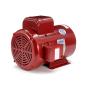 Leeson Farm Duty Electric Motor - 3.0 HP, 1,740 RPM, 230 Volts, Single Phase, Model Number P184C17FB13