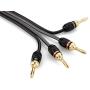Deadbolt Speaker Wire with Banana Plugs, 10 ft, High Strand Count 12 AWG Pure Copper, OFC