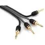 Deadbolt Speaker Wire with Banana Plugs, 10 ft, High Strand Count 12 AWG Pure Copper, OFC