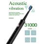 RAAYA Sonic Toothbrush Electric Tooth Brushes for Men and Women with 5 Modes 7 Dupont Brush Heads Smart Timer , 3 Hour Charge for 30 Days Use Whitening and Cleaning Toothbrushes