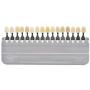 1 Set 16 Colors 3D Teeth Whitening Shade Guide Porcelain - Tooth Bleaching Shade Chart Mold - Tracking & Comparing - Dental Equipment Dentist Material - Professional or Household Oral Care (White)