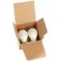 Amazon Basics 60 Watt Equivalent, Soft White, Non-Dimmable, 15,000 Hour Lifetime, A19 LED Light Bulb | 2-Pack