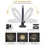 ELEGIANT 6.3'' Selfie Ring Light with Clamp Mount for Desk, Bed, Office, Video Conferencing, Makeup, YouTube, Live Steam & Broadcast, 3 Dimmable Color & 10 Brightness Level, 360 Degrees Rotatable, Warm