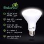 4 Pack BR30 Flood Light Bulbs Indoor Outdoor by Bioluz LED Instant ON DIMMABLE Soft White 3000K 65-95 Watt Replacement Using 11 Watts 92 CRI UL Listed 2016 JA8 High Efficacy Lighting