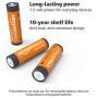 Amazon Basics 100 Pack AA High-Performance Alkaline Batteries, 10-Year Shelf Life, Easy to Open Value Pack