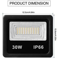 LED Flood Lights,30W Super Bright Outdoor Floodlight,Security Light with Plug,3000lm 6500K IP66 Waterproof Garden Lights for Entryways,Stairs,Yard and Garage (Daylight White)