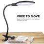 Dylviw Bright Light Desk Gooseneck Magnifier Lamp with Metal Large Clamp, Magnifying Glass with Adjustable Light for Daily Hobbies Repairing, Reading, Crafts