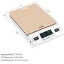 Acteck A-CK65GS 65LBx0.1OZ Digital Shipping Postal Scale with Batteries and AC Adapter, Gold Silver