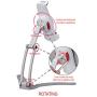 CTA Digital: 2-in-1 Kitchen Tablet Stand Wall/Desktop Mount W/Stylus for 7-13'' Tablets/iPad 10.2-Inch(7th & 8th Gen)/12.9-Inch iPad Pro/11-Inch iPad Pro/Air 3/Galaxy Tab A 10.1/Surface Pro 6 & More