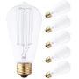 Clear Incandescent Edison Light Bulbs 6 Packs, Brightown Edison Light Bulbs 60 Watt E26 Base Dimmable Decorative Antique Filament Edison Light Bulbs 190 Lumens, Warm White