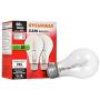 LEDVANCE 52550 Halogen Bulb Clear A19, 43 watt, Pack of 2, 2 Count