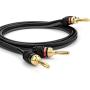Deadbolt Speaker Wire with Banana Plugs, 10 ft, High Strand Count 12 AWG Pure Copper, OFC
