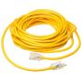 Coleman Cable 01789 10/3 Insulated Outdoor Extension Cord with Lighted End, 100-Foot