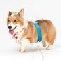 JYtop 2019 New pet Quantum Resonance Magnetic Analyzer for Dog and cat