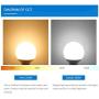 Hansang G25 LED Globe Light Bulbs,60W Equivalent 5000K Daylight White Eye-friendly Decorative Vanity Round Light Bulbs E26 Base,Perfect For Vanity Makeup Mirror,droplight,Floor lamp,Non-Dimmable 4Pack