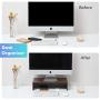 FITUEYES Computer Monitor Riser Laptop Desktop Stand for Monitors DT104203WB