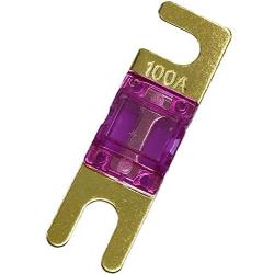 Yoiilnz (Pack of 5 pcs) Mini ANL Fuse 100 AMP Car Audio Fuse 100A Gold plated