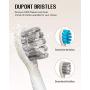 Qhou Sonic Electric Toothbrush for Adults, Rechargeable Power Toothbrush, 3 Cleaning Modes with Smart Timer, 40,000 VPM Whitening Toothbrush - 2 Duponts Brush Heads Included (White)