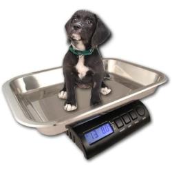 ZIEIS | 30 Lb. Capacity | Digital Animal Scale | Z30P-SSP | 15 x 10'' x 2'' BigTop Stainless Steel Platform | AC/DC | 0.1 Ounce Accuracy