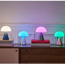 Lexon MINA L - Portable LED lamp, 24 Hours of Battery Life, 9 Ambient Colors with Pressure Dimmer Switch Light, IPX4 Water Resistance, QI Charging or USB-C - Aluminium/Gun Metal