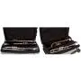 Protec Triple Trumpet Case with Wheels, Silver (BLT301TSX)