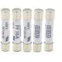 5Pcs FF10A 600V Very Fast Acting 10A Multimeter Fuse Brass, Nickel-Plated Fuse 6.3 x 32mm