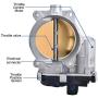 Throttle Body Assembly Compatible with 07 08 Chevy Suburban 1500 2500 LS, LT, LTZ 6.0L V8 05-09 GMC Envoy Denali 5.3L V8 Replacement for 12572658 12580760