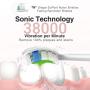 Hanasco Sonic Electric Toothbrush Rechargeable for Adults, 4 Modes with Build in 2 Mins Timer, 3 Brush Heads Included, Whitening Clean 4 Hours Charge for 30 Days Use, Soft Bristles, 38,000 VPM Pink