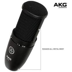 AKG P120 High-Performance General Purpose Recording Microphone