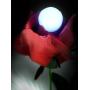 Fortune Products FB-1W Fairy Berries Magical LED Light, 3/4'' Diameter, White (Case of 10)