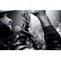 Shure SM58-LC Cardioid Dynamic Vocal Microphone