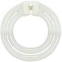 Satco S6596 3000K 55-Watt 4 Pin T9 2C Circline Lamp, Soft White