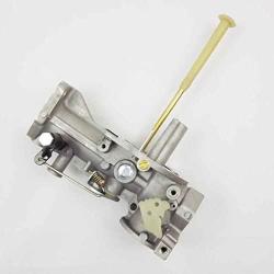 Dianpo Compatible Carburetor Replacement for Briggs & Stratton 130202, 112202, 112232, 134202, 137202, 133212
