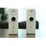 D-Link HD Mini Indoor WiFi Security Camera 2-Pack Cloud Recording, Motion Detection & Night Vision, Works with Alexa (Echo Show/Echo Spot/Fire TV) (DCS-8000LH/2PK-US)