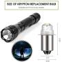 30 Lumen 3-Volt LED Replacement Bulb Flashlight Bulbs LED Torch Flashlight Bulb with 10 Year Lifespan, 41-1643 (3)