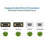 Rankie Mini DisplayPort (Mini DP) to DVI Cable, Thunderbolt Port Compatible, Gold Plated, 6 Feet