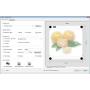 Software for Vinyl Cutting Plotter Sticker and Decal Machines VinylMaster DSR (No Disk)