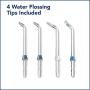 Waterpik Cordless Professional Water Flosser and Nano Sonic Toothbrush, WP-440
