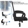 Smugdesk Ergonomic Office Chair with Adjustable Headrest, Breathable Skin Friendly Mesh Swivel Chair, Desk Chair, Computer Task Chair (Black)