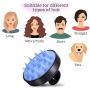 Head and Shoulders Anti Dandruff Shampoo Set: (4 Pack) Head N Shoulders 2 in 1 Green Apple Fresh Dandruff Treatment Shampoo & Shower Shampoo Scalp Scrubber Massage Brush