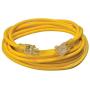 Southwire 02587 12/3 Vinyl Outdoor Extension Cord with Lighted End, 25-Foot