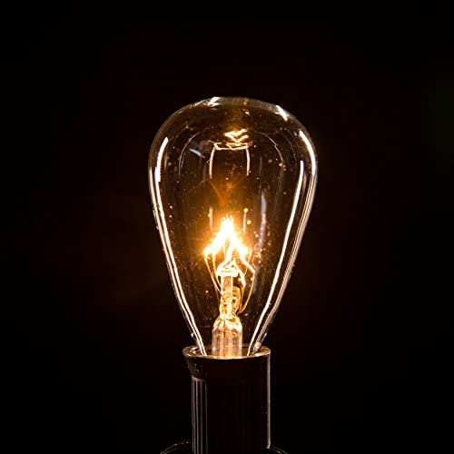 Box of 25 ST11 Clear 5 Watt C7 Base Replacement Bulbs