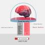 Zyxel USG Flex 100 (USG40 v2), UTM Firewall Hardware Only, Recommended up to 25 Users, Limited Liability [USGFLEX100]
