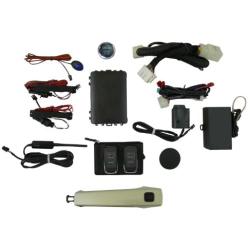 EasyGO AM-GMT-316N Smart Key Remote Start and Alarm System with Gold Mist Metallic Door Handle